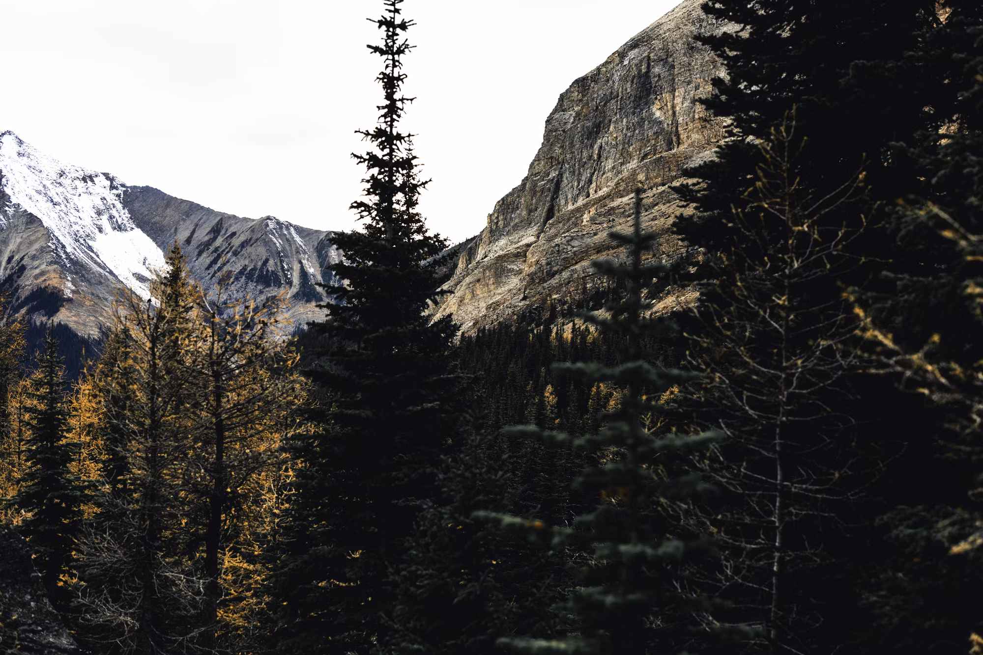 Exploring the Benefits of Bicycle Camping