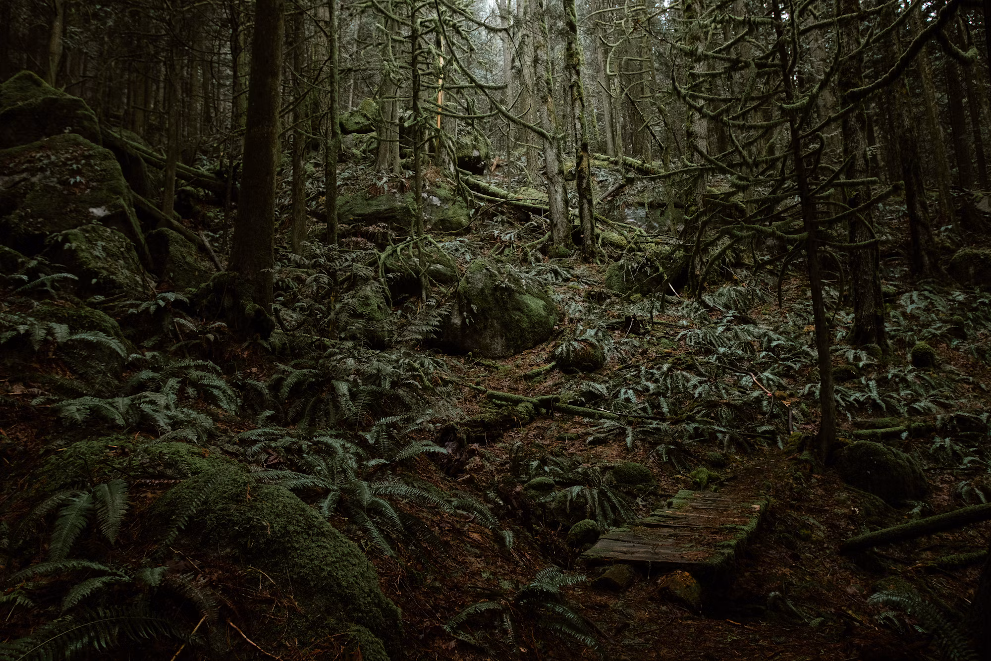 Exploring the Trails: A Comprehensive Guide to Hiking Adventures